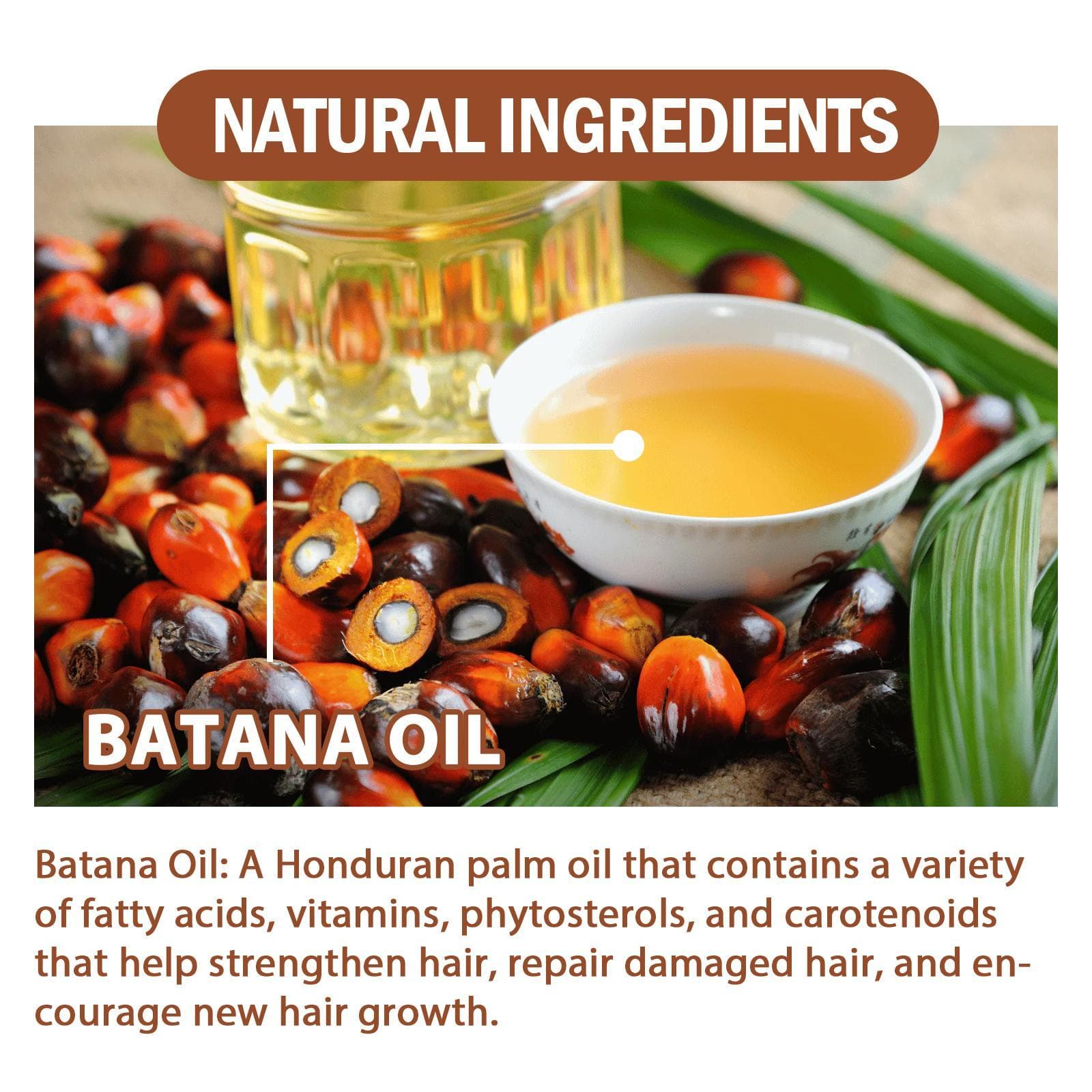 Batana Oil From Honduras – Get Fuller, Thicker, Healthier Hair – Great Gifts For Women  Men Conditioner Haircare Silky – Hair Nutrition