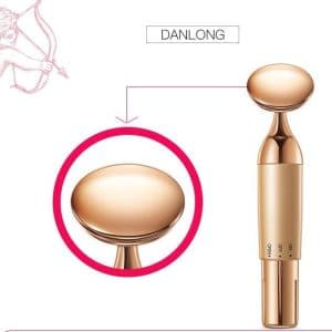 Beauty Equipment Home Electric Facial Importer